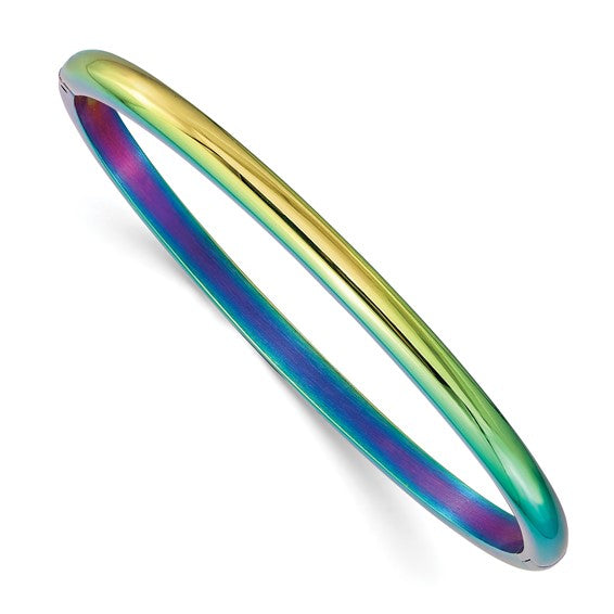 Stainless Steel Rainbow Ionized Bangle Bracelet