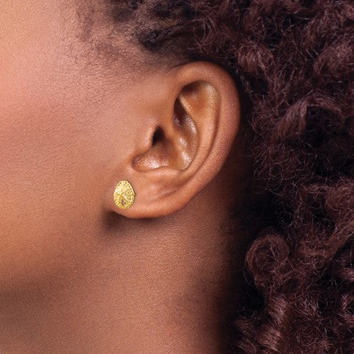 14K Yellow Gold Sand Dollar Stud Earrings