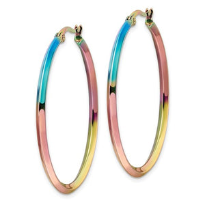 Stainless Steel Rainbow Ionized Hoop Earrings